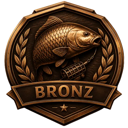 Bronz érem